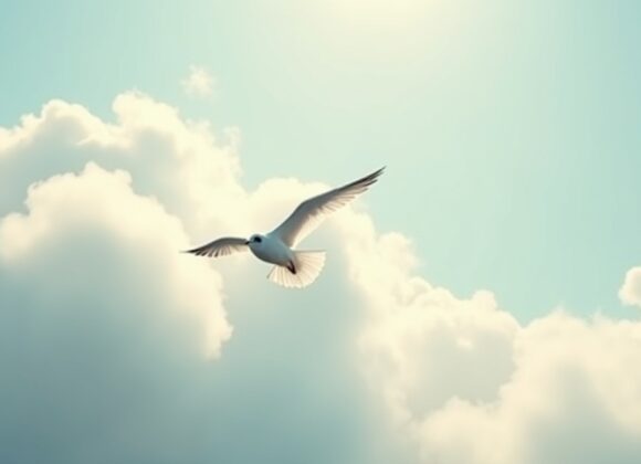 Sonhar com um Pássaro que Flutua: Significado Revelado sonhar-com-passaros-flutuando