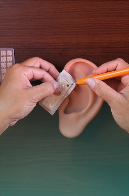 Curso de Magnetoterapia (WebHoje)