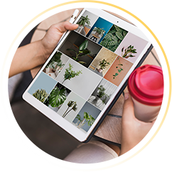 Curso de Fotografia com Celular (WebHoje)