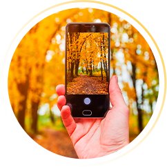 Curso de Fotografia com Celular (WebHoje)