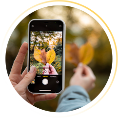 Curso de Fotografia com Celular (WebHoje)