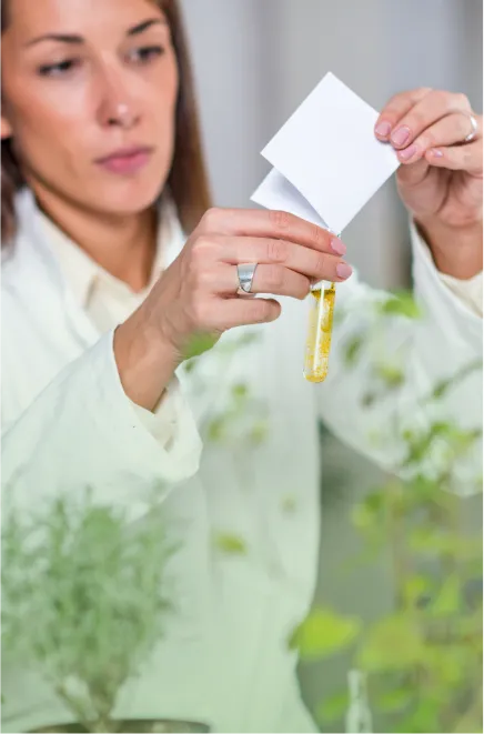 Curso de Homeopatia (WebHoje)