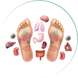 Curso de Reflexologia Podal e Palmar (WebHoje)